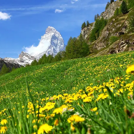 Armina-4 By Interhome Zermatt